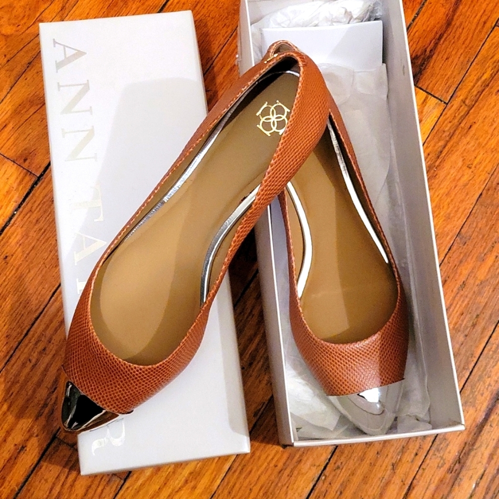 Ann Taylor flats
